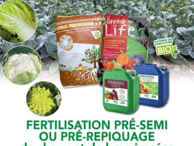 FERTILISATION PRÉ SEMI OU PRÉ REPIQUAGE de choux et de brassicacées …