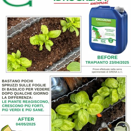 Foglie più verdi, piante più vigorose! Grazie a Idrogrena Universal,