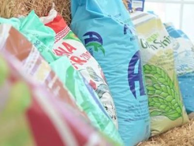 GRENA y Profi Seeds Agro MŰTRÁGYÁK ès BIOSTIMULÁTOR Magyarország/Hungría