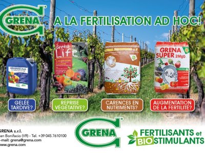 Gelate tardive? Ripresa vegetativa? Carenze nutrizionali? Aumento fertilità?