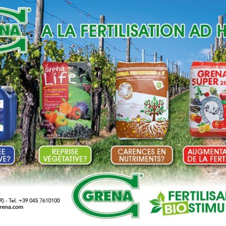 Gelate tardive? Ripresa vegetativa? Carenze nutrizionali? Aumento fertilità?