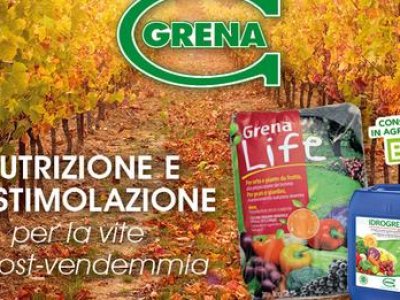 Grain nutrition and biostimulation for the vine 5000f dst jpg flffffff p500x261 q75ccb13 1oh06 AbG SZcufs5TIGZHADtE7bEJW3GoVv92boxzobEtep8ZbQoe636D40A2 nc sidb1eadf