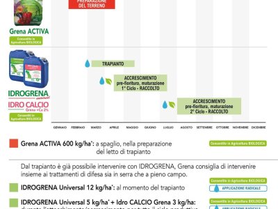 Grena recomienda para sus fresas y frutas pequeñas: - Grena