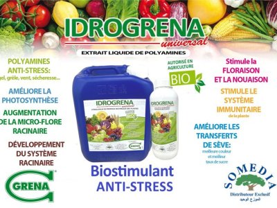 HYDROGRENA