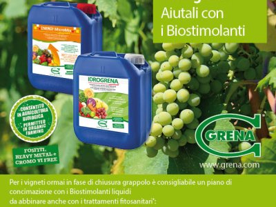 Heat and drought stress? The use of Grena biostimulant fertilizers