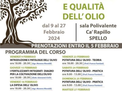 Heute Abend präsentieren wir beim „Olivenbau und Ölqualitätskurs“ in Spello