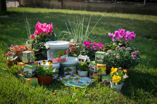 Home Garden Grena - Principale