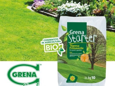 How and when to fertilize the lawn? GRENA STARTER is