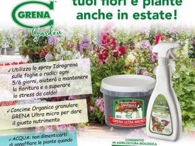 I consigli grenagarden Per superare lo stress da caldo e