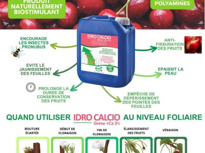Idro Calcio Grena Pour les cerises y verter les fraise