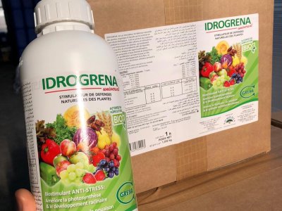 Idrogrena in preparazione per l Algeria work in progress