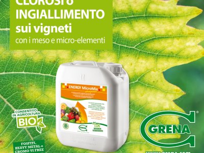 Img ENERGY rimedio ingiallimento Vigneto