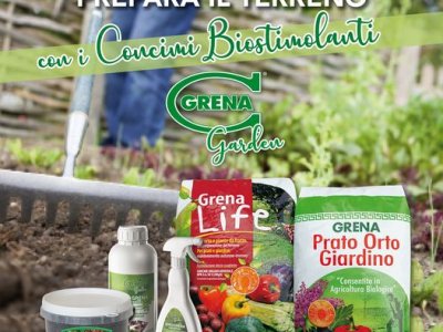 It's time to take care of and renew our garden