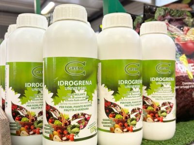 Kennen Sie Biostimulanzien? Es handelt sich um Naturprodukte, die Pflanzen