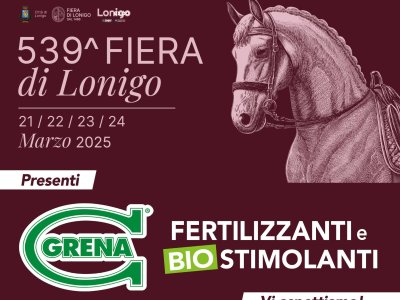 Little is missing for the beginning of the historic Lonigo