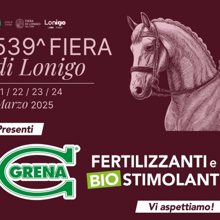 Little is missing for the beginning of the historic Lonigo