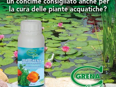 Lo sai cheIDROGRENA e un concime liquido organico ricco di