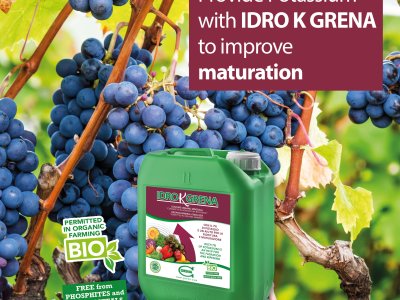 Loc MATURAZIONE Idro K grena 2023 ENG