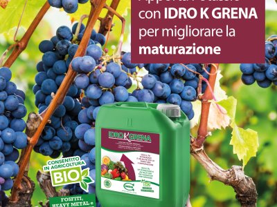 Loc MATURAZIONE Idro K grena 2023