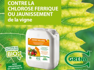 News ENERGY rimedio ingiallimento Vigneto FRA
