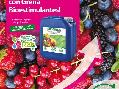News IDROGRENA ¡Regula la maduración con Grena SPA