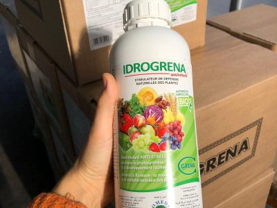 Nouveau chargement d’Idrogrena pour l’Algérie Somedia الشركة المتوسطية لتوزي
