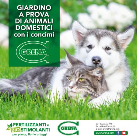 Organic fertilizers contain nutrients for plants and when they are