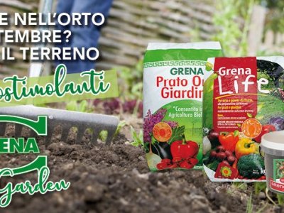 PREPARA IL TUO ORTO INVERNALE con i consigli grenagarden Pulisci
