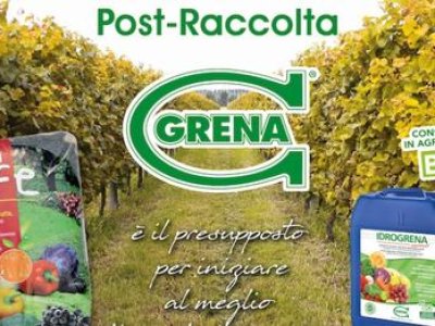Post harvest fertilization, the prerequisite for starting the following year in