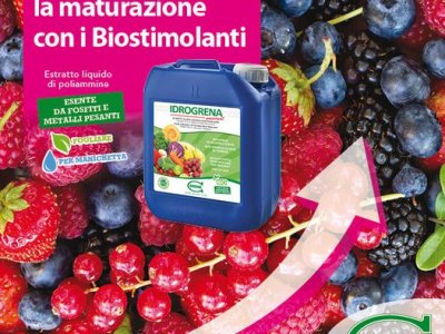 Regolarizza la maturazione con i Biostimolanti Grena! Idrogrena è un