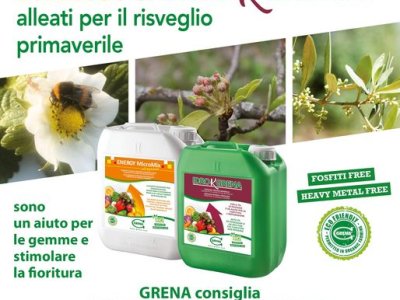 Risveglio primaverile! Energy Idrogrena e Idro K grena sono gli