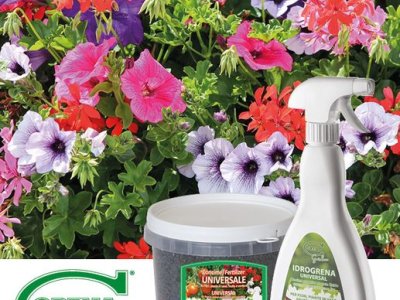 Sommerblumen! Tragen Sie das #IDROGRENA Spray alle 5/6 Tage auf die