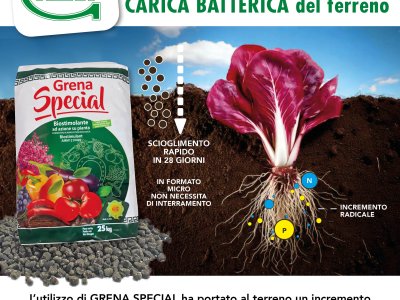 Test Riattivazione Carica Batterica GRENA SPECIAL