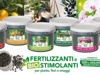 Time to transplant and prepare your flower garden or balcony
