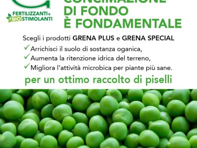 Una buona CONCIMAZIONE DI FONDO è fondamentale per migliorare i