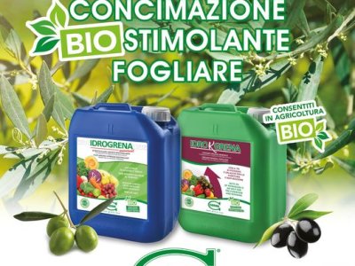 VERBESSERN SIE DIE VEGETATIVE ENTWICKLUNG und den PFLANZENERTRAG mit Biost Düngung