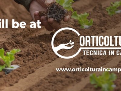 Was bedeutet technischer Gartenbau im Freiland? Es handelt sich nicht