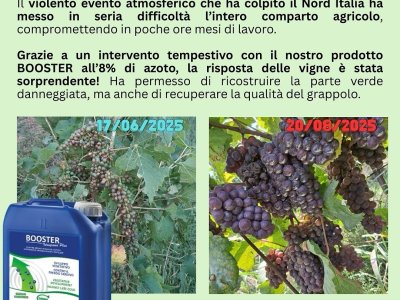 agire al momento giusto non è mai facile. ma il