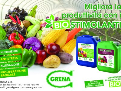 biostimolanti orticole