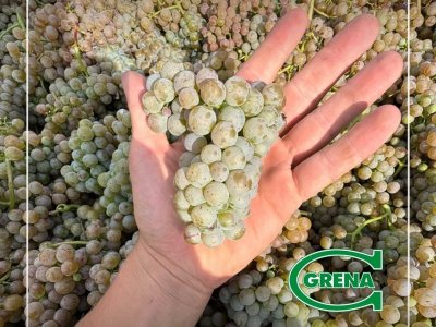 chi sceglie di concimare con i prodotti grena, nutre le