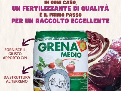 dal momento in cui si volessero trapiantare le piantine di