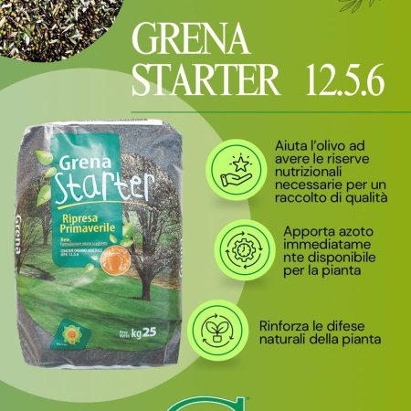 garantire una pronta partenza per gli olivi è indispensabile per