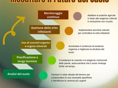 grenas ansatz bestand schon immer in der rückgewinnung, regenerierung und