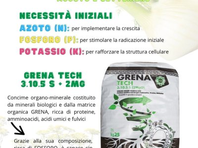 i terreni sono fertili solo quando contengono abbastanza sostanza organica,