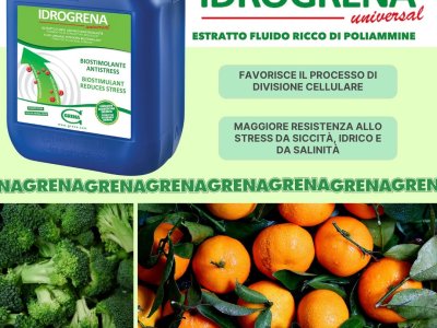 idrogrena universal è un biostimolante innovativo di origine 100% naturale.