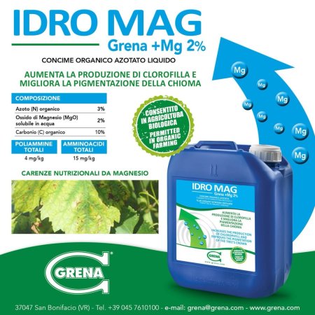 il magnesio svolge un ruolo fondamentale nel metabolismo vegetale, è