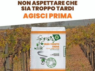 it is essential to act on the health of the