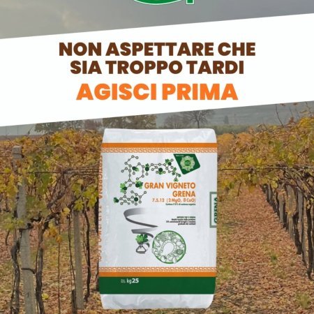 it is essential to act on the health of the