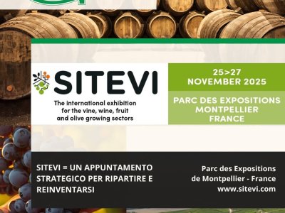 la sitevi, è possibile esplorare tutte le potenzialità del settore