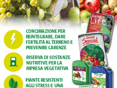 news amminoacidi
